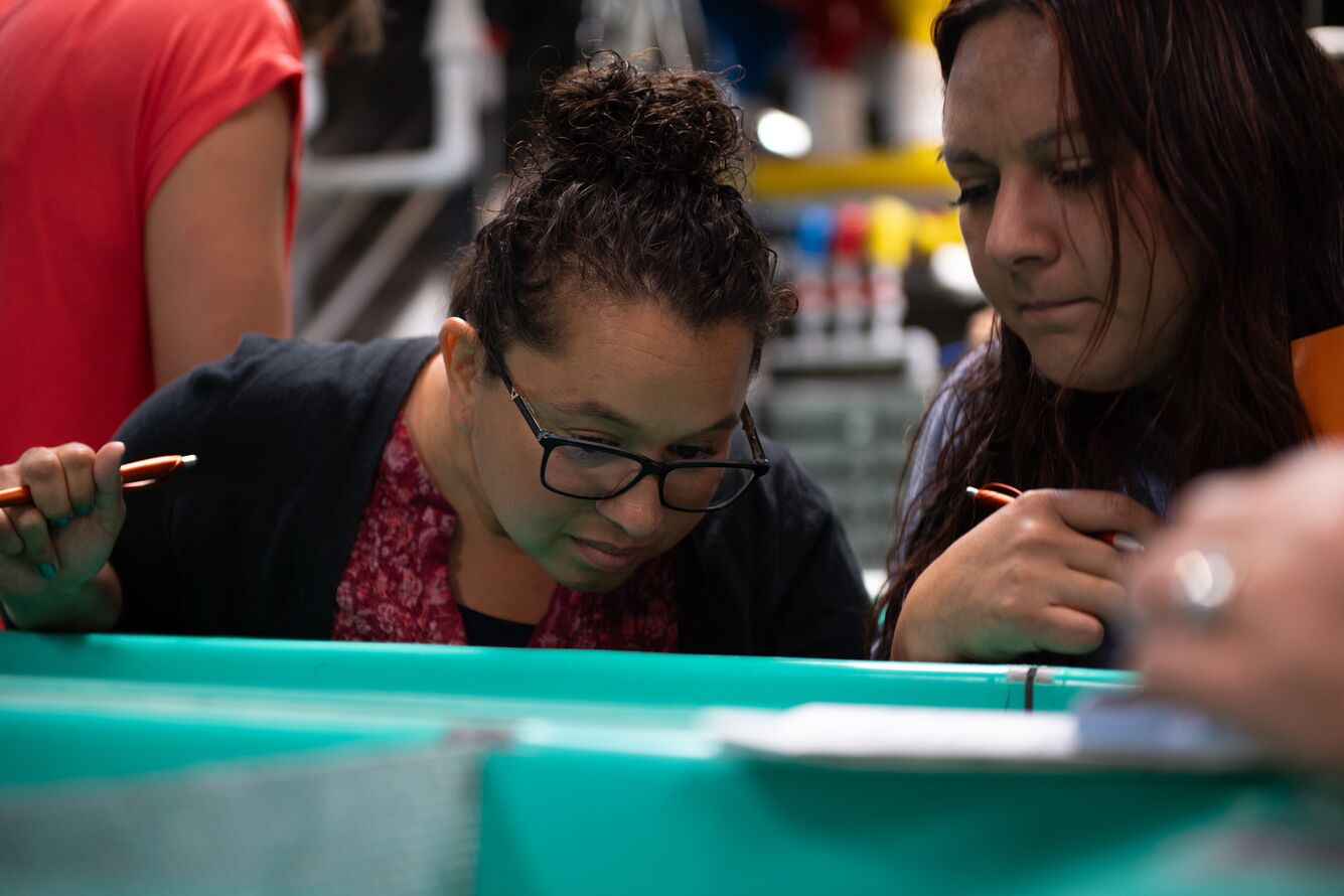 Two people looking downward into a green tank in a laboratory setting