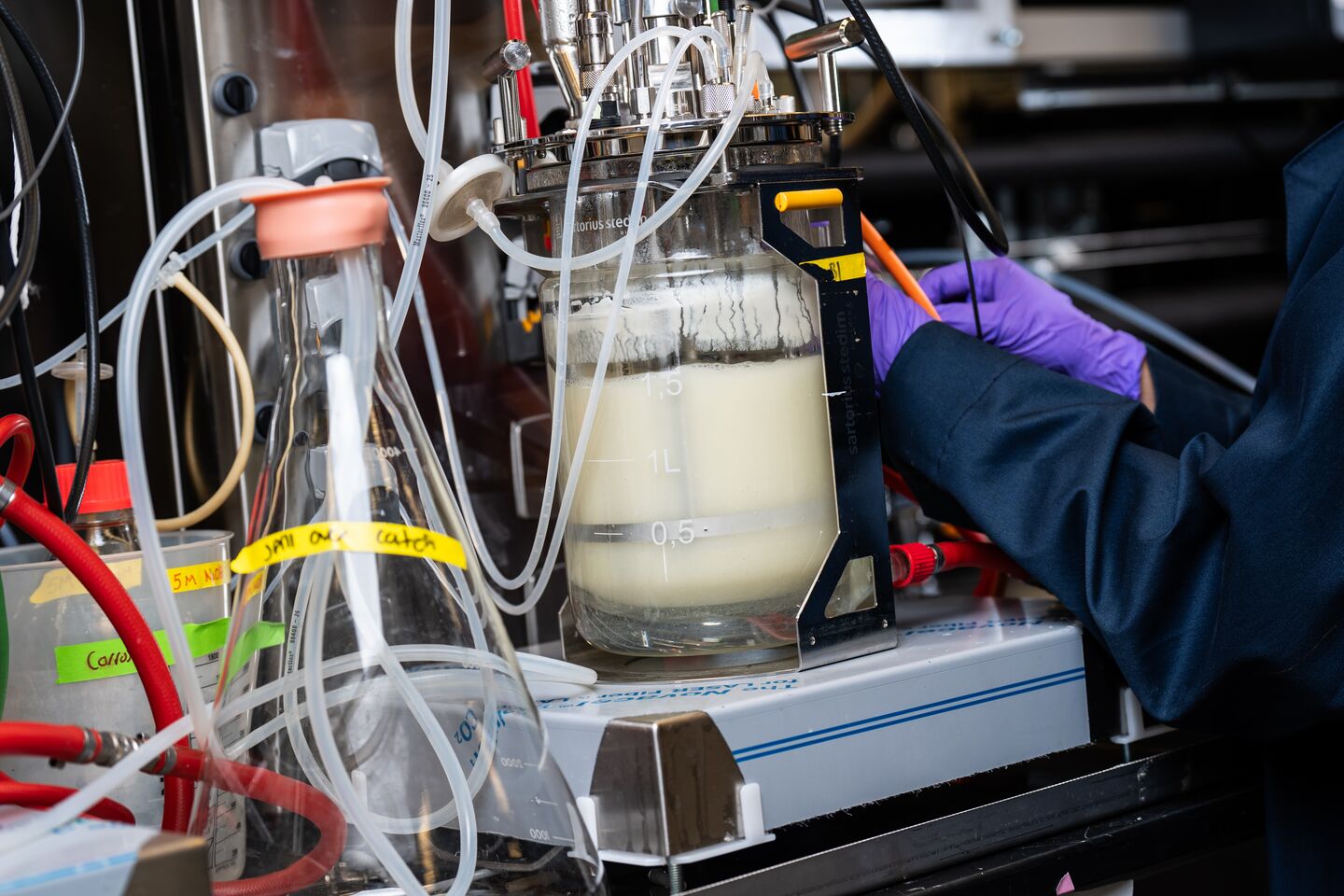 A researcher takes a sample from a bioreactor.