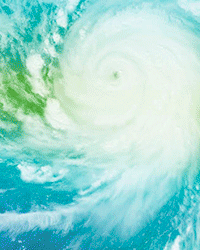 animated-Haiyan-2014-200x250