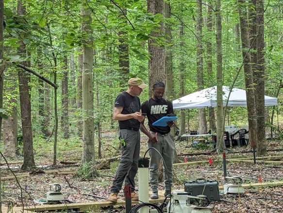 two researchers doing fieldwork in a coastal forest