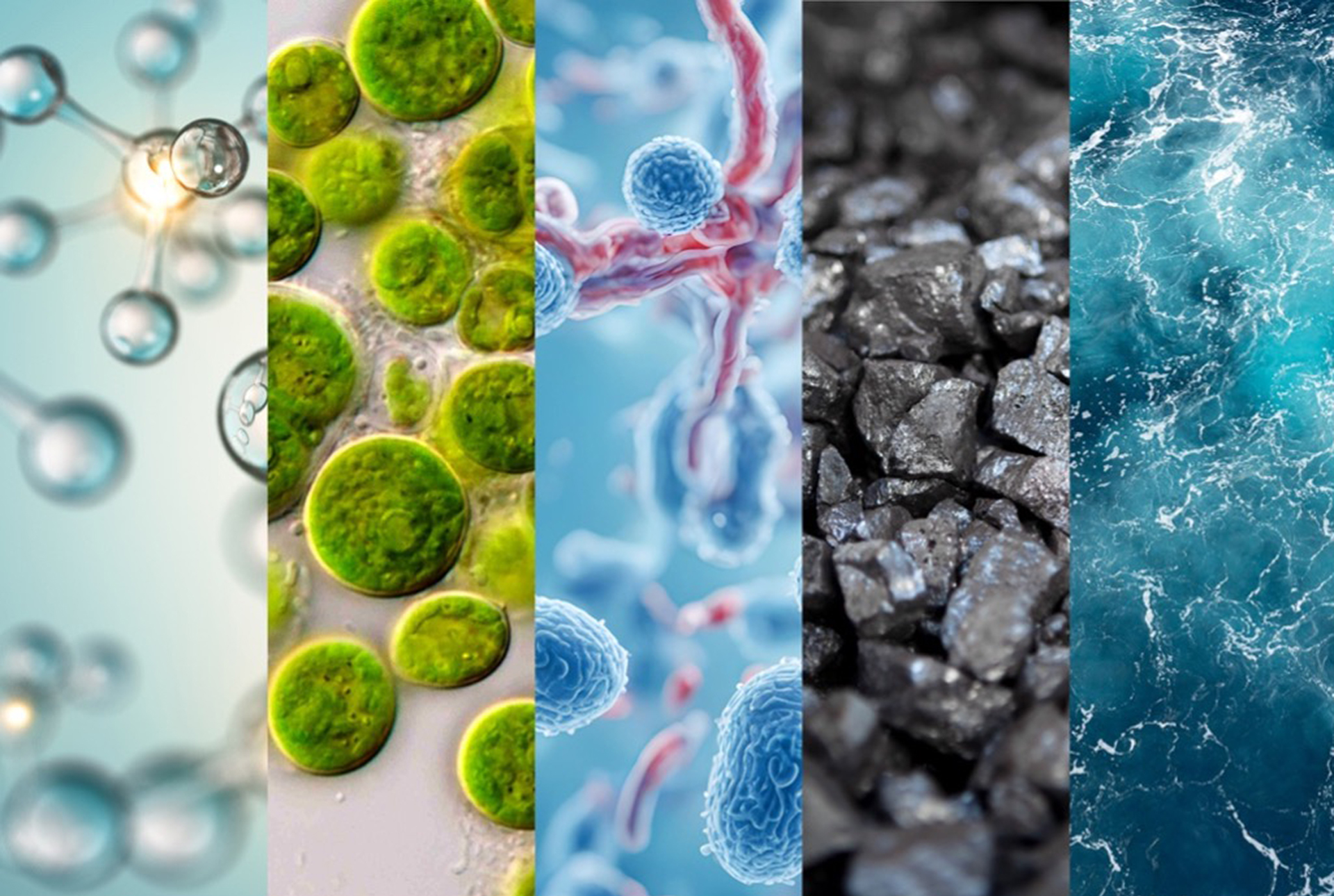 Bio-Enabled Critical Mineral Recovery - PNNL