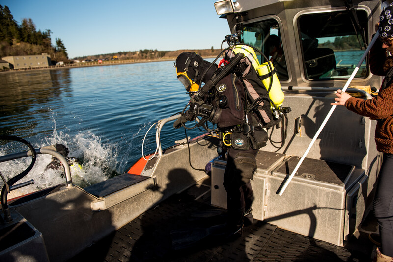 Divers conducting marine energy research in Sequim Bay. 