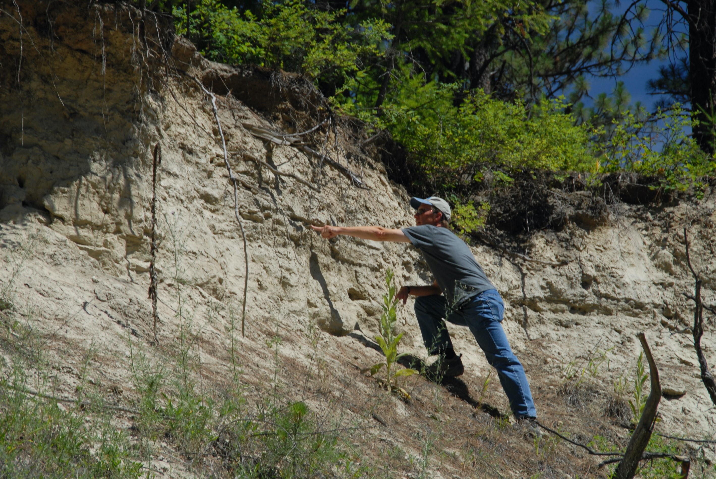 field photo