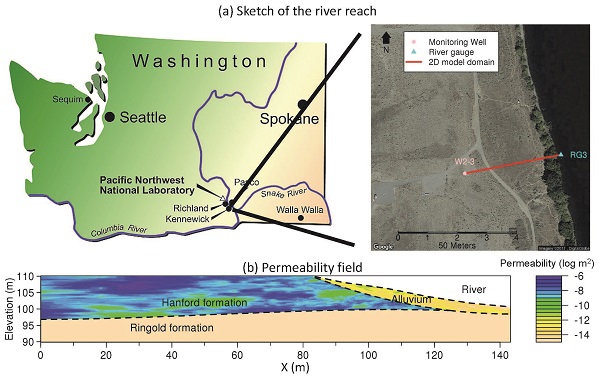 Figure shows the location of monitoring sites as well as a cross section of the Columbia River Hanford Reach’s hyporheic zone.