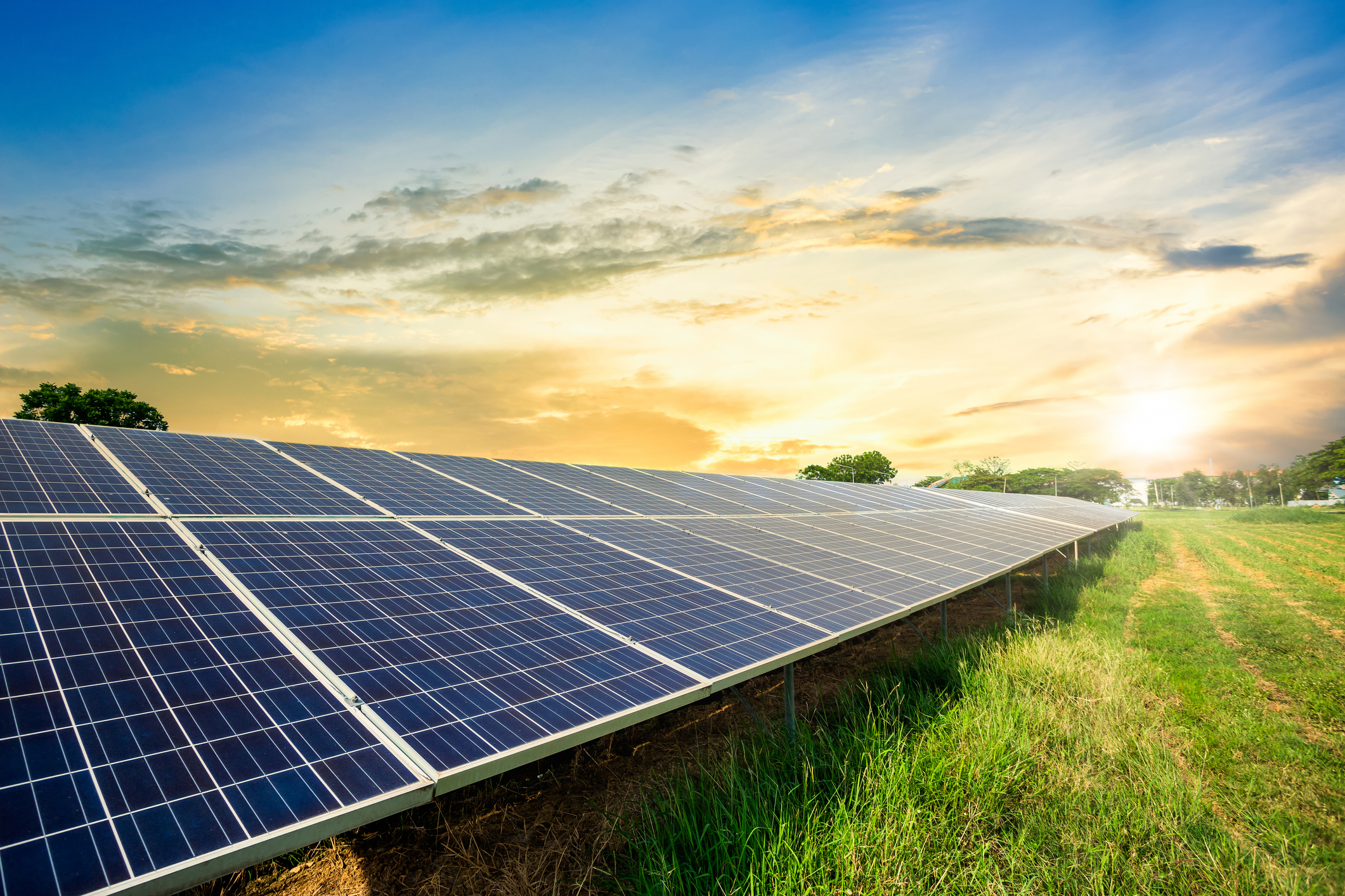 solar panels in field
