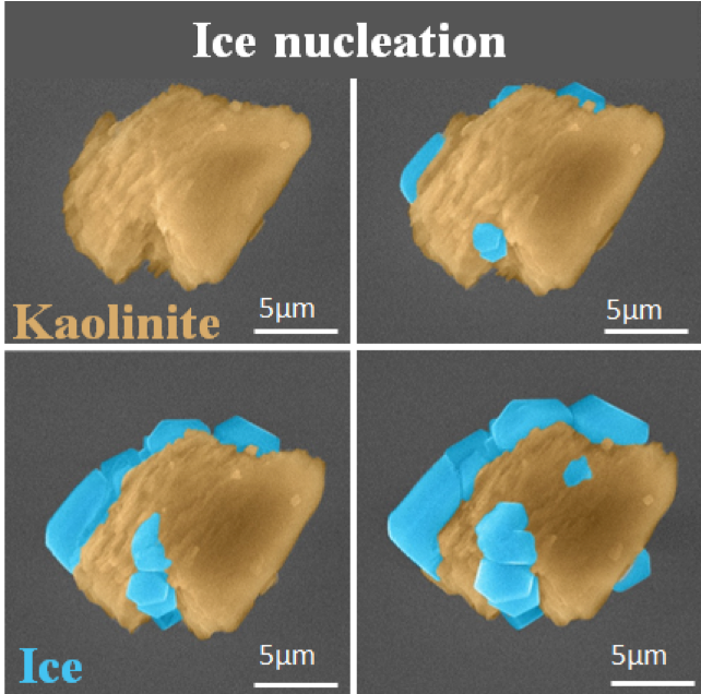 Ice Nucleation