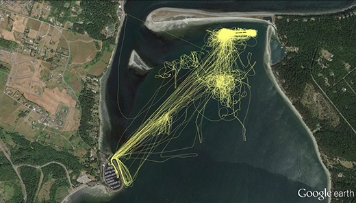 photoGPStracks
