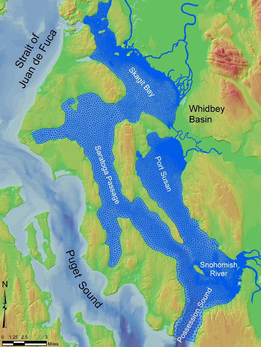 Whidbey Basin Model Domain