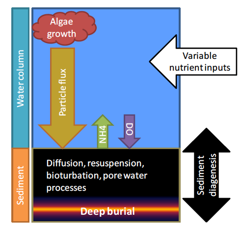 sediment scheme