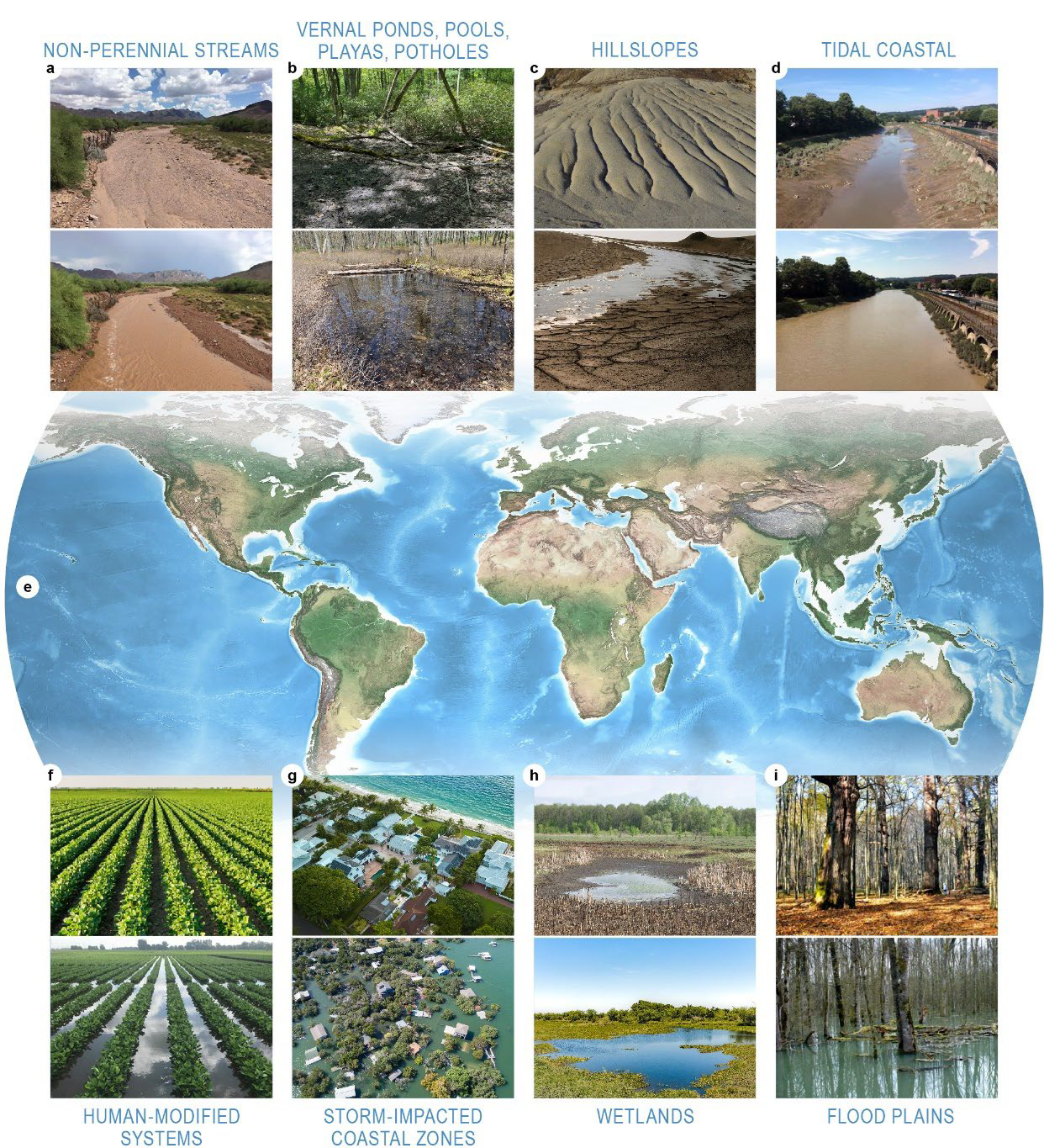 vie example images