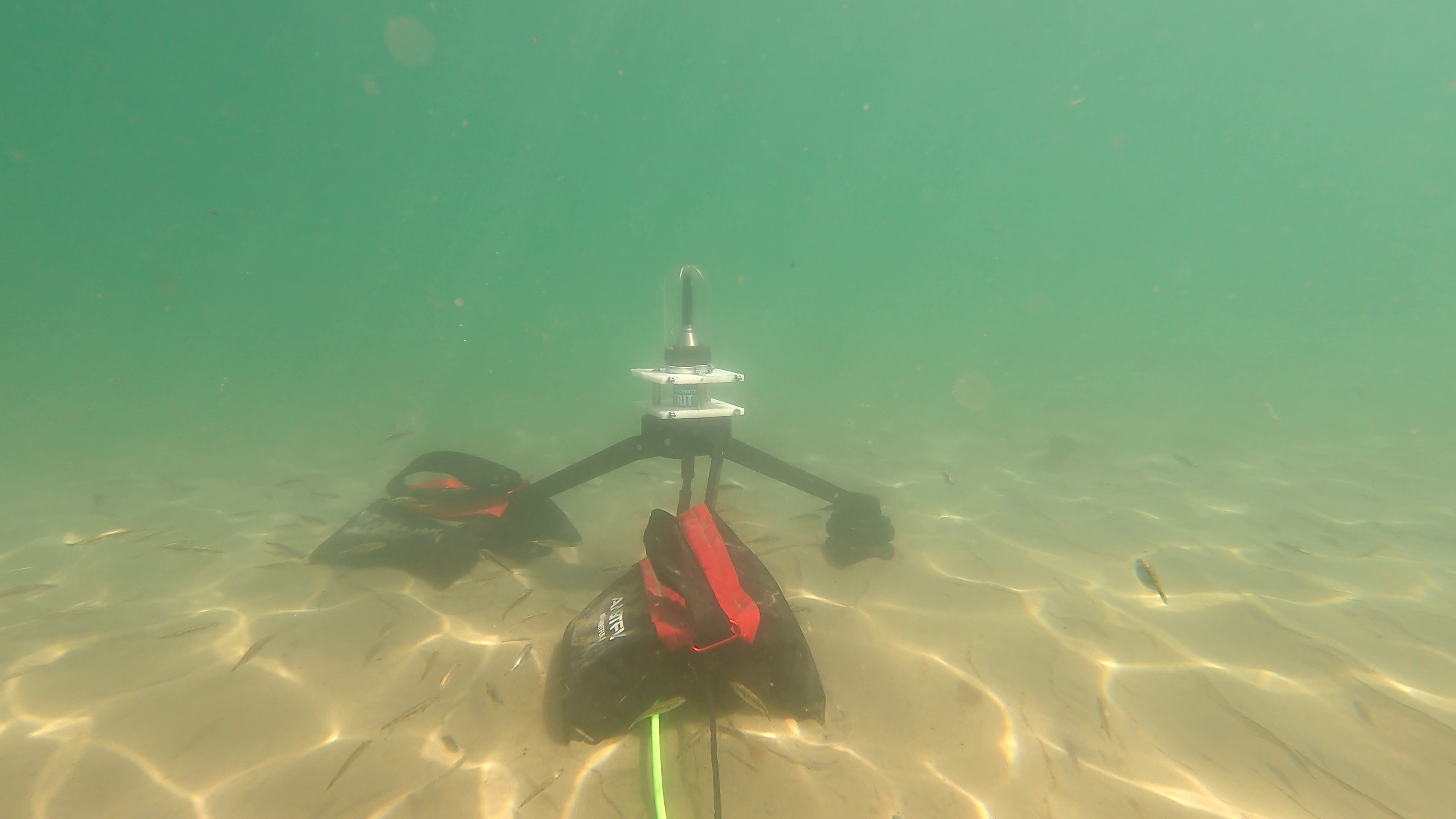 Nereus deployed a hydrophone with a flow shield to measure acoustic sound pressure