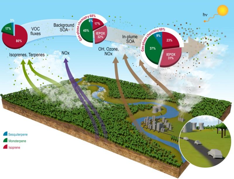 Analyzing aerosol formation in a pollution plume