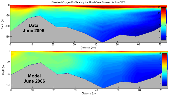 multi-colored figure showing modeling of hypoxia