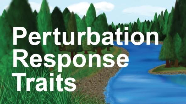 Perturbation Response Traits
