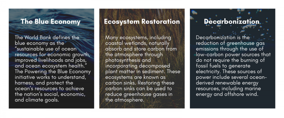 Climate solution terms, including the blue economy, ecosystem restoration, and decarbonization.