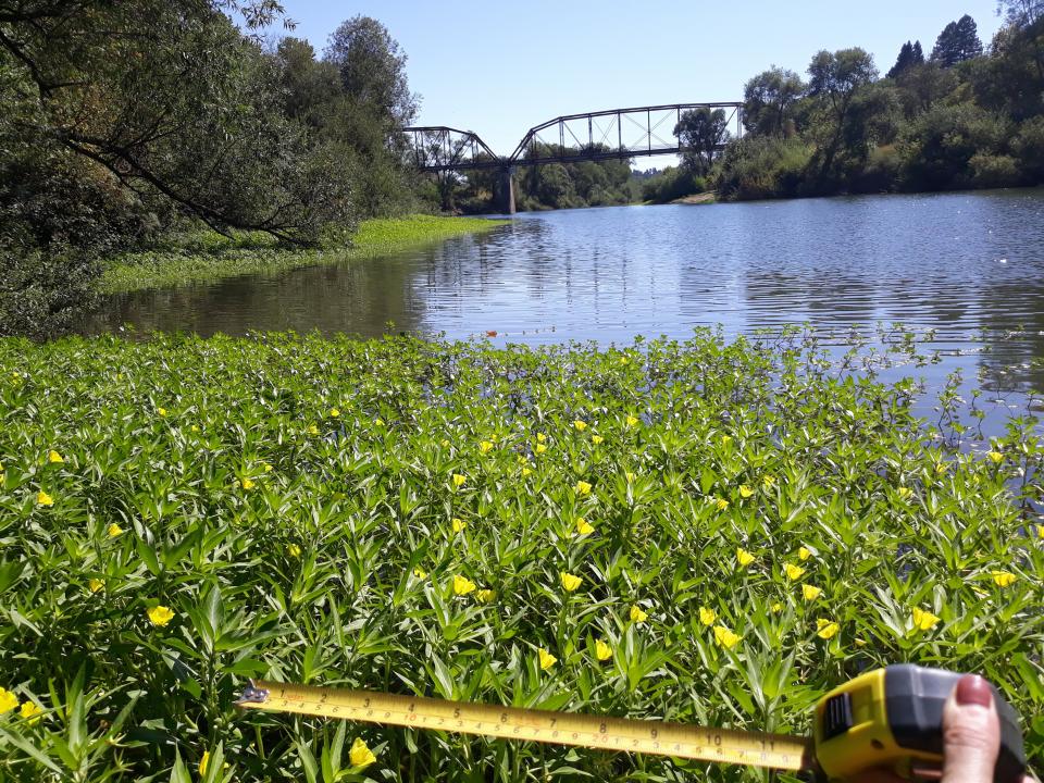WHONDRS on Russian River