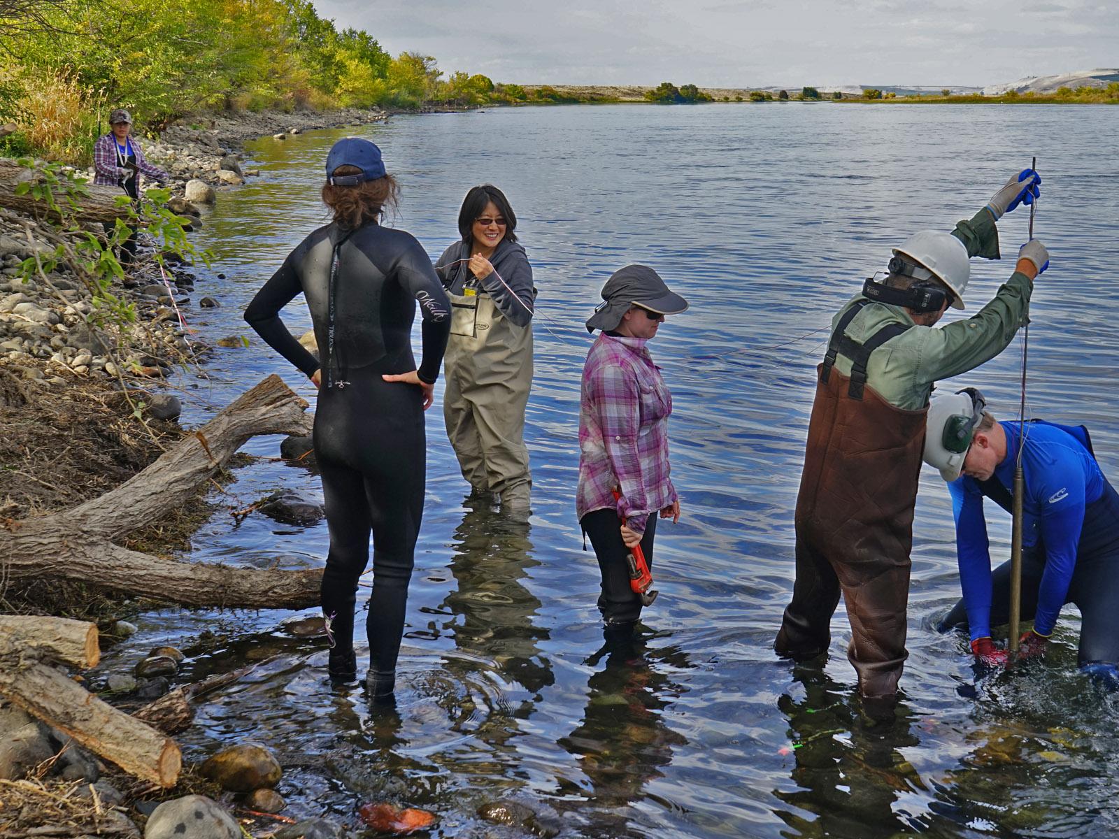 Researchers taking samples in the river