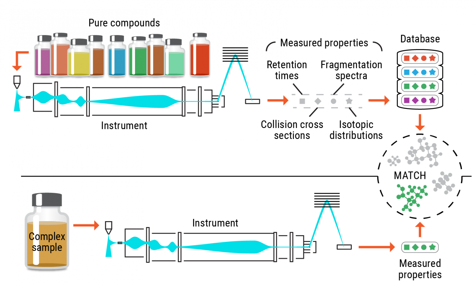 Illustration of the conventional metabolite identification process