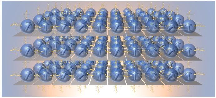 Scalable qubit array