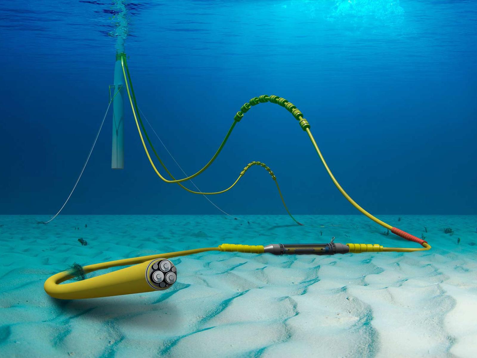 Cable on sea floor