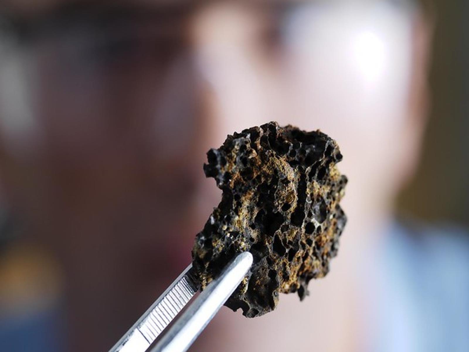 How does Carbon Capture Work?