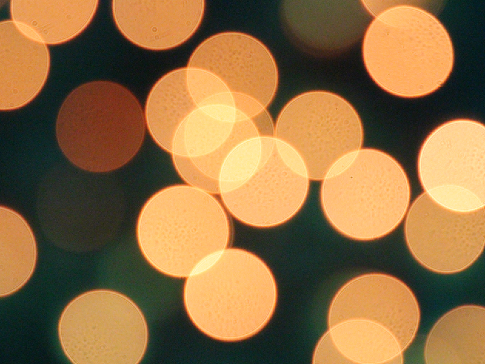Abstract Image