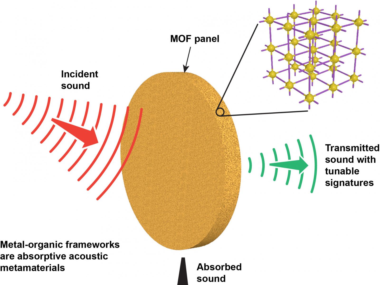 Scientific image