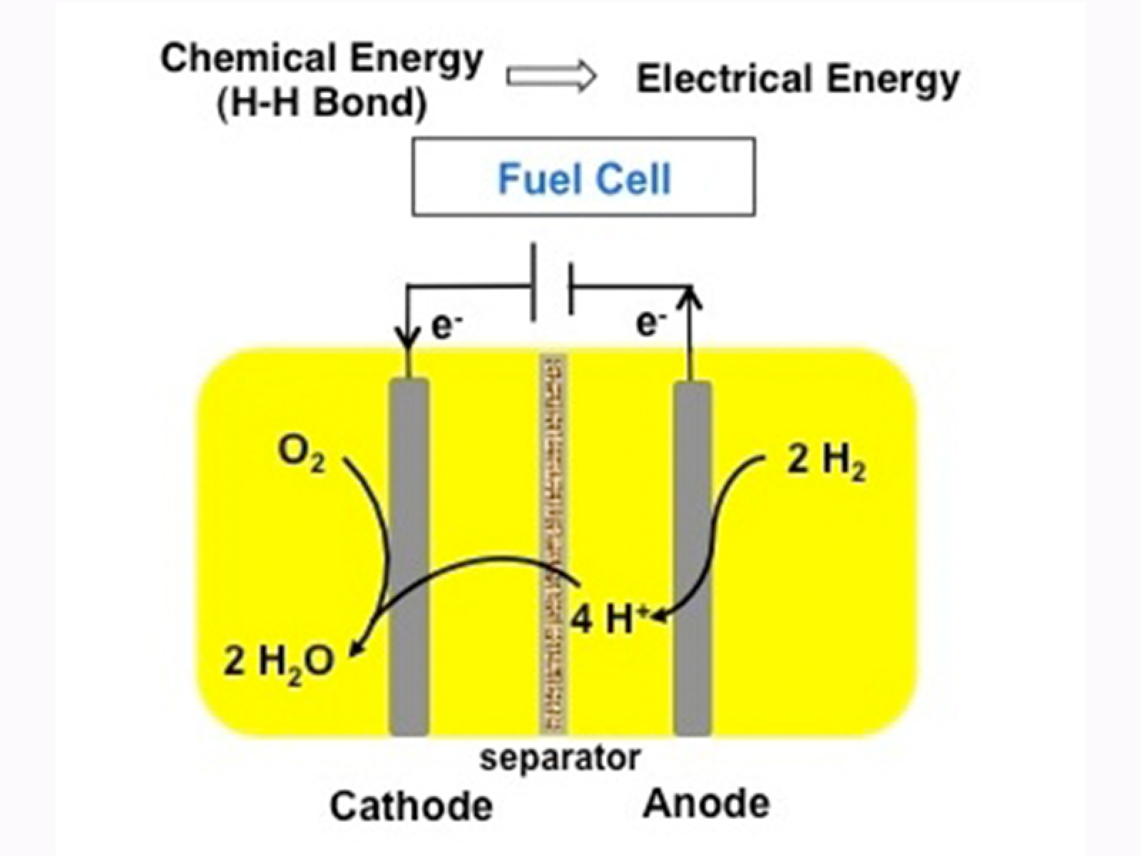 Bullock Cell