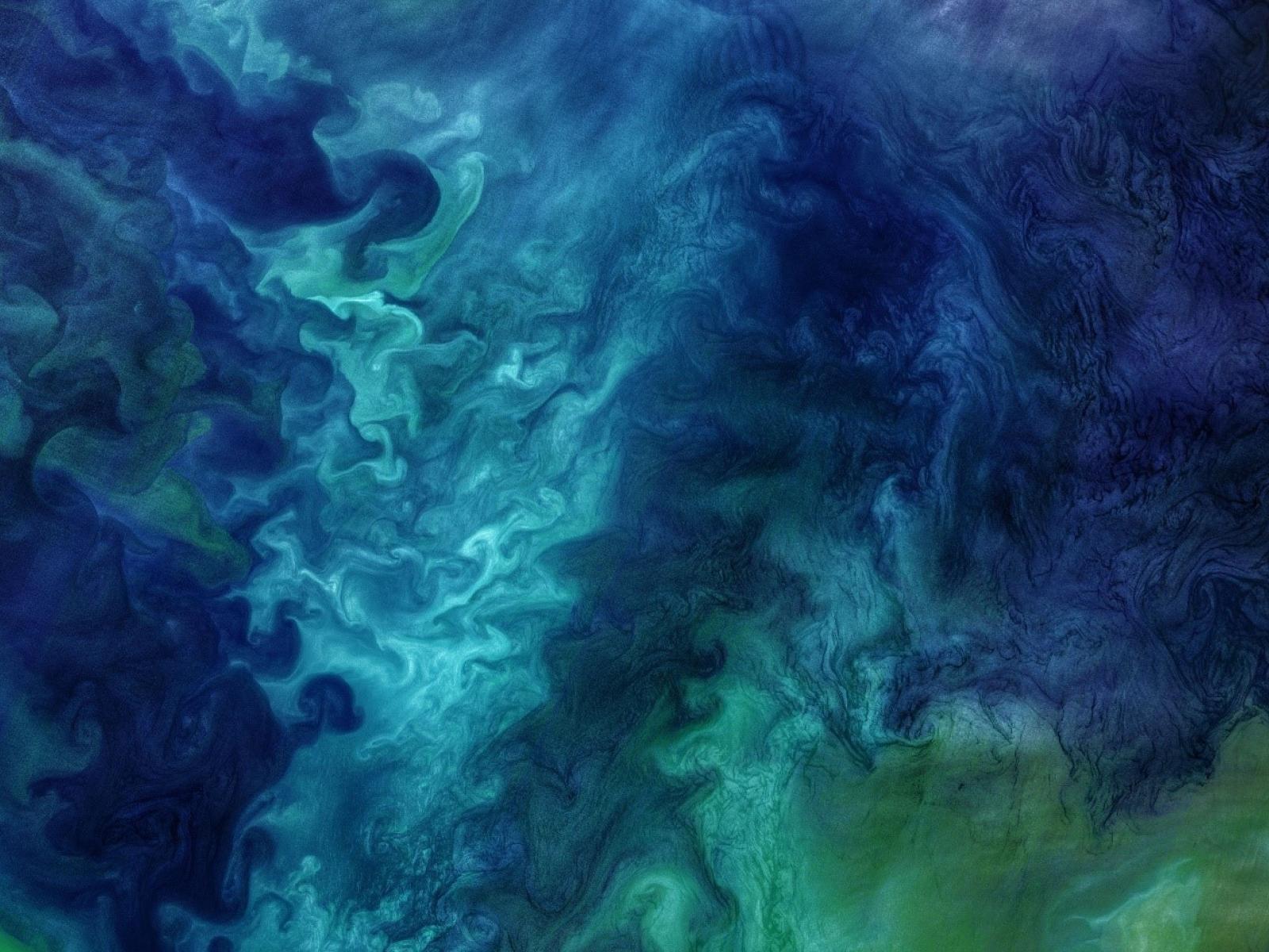 Aerial photograph of plankton bloom, showing beautiful blues and greens.