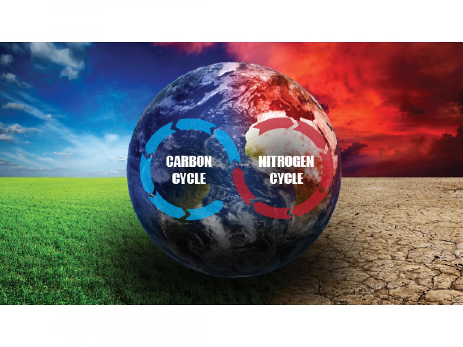 CO2NO-cycle-climatechange-b_576x324