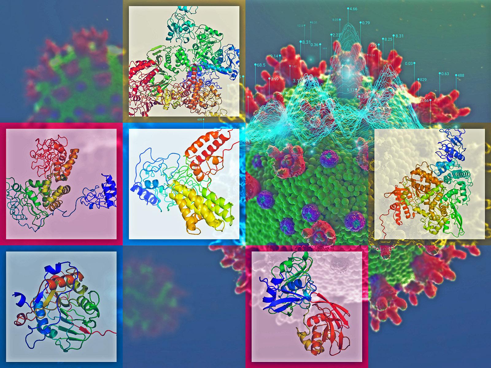 Composite of coronavirus structure