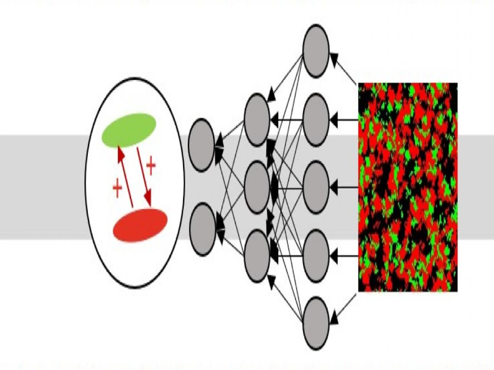 microbial deep learning