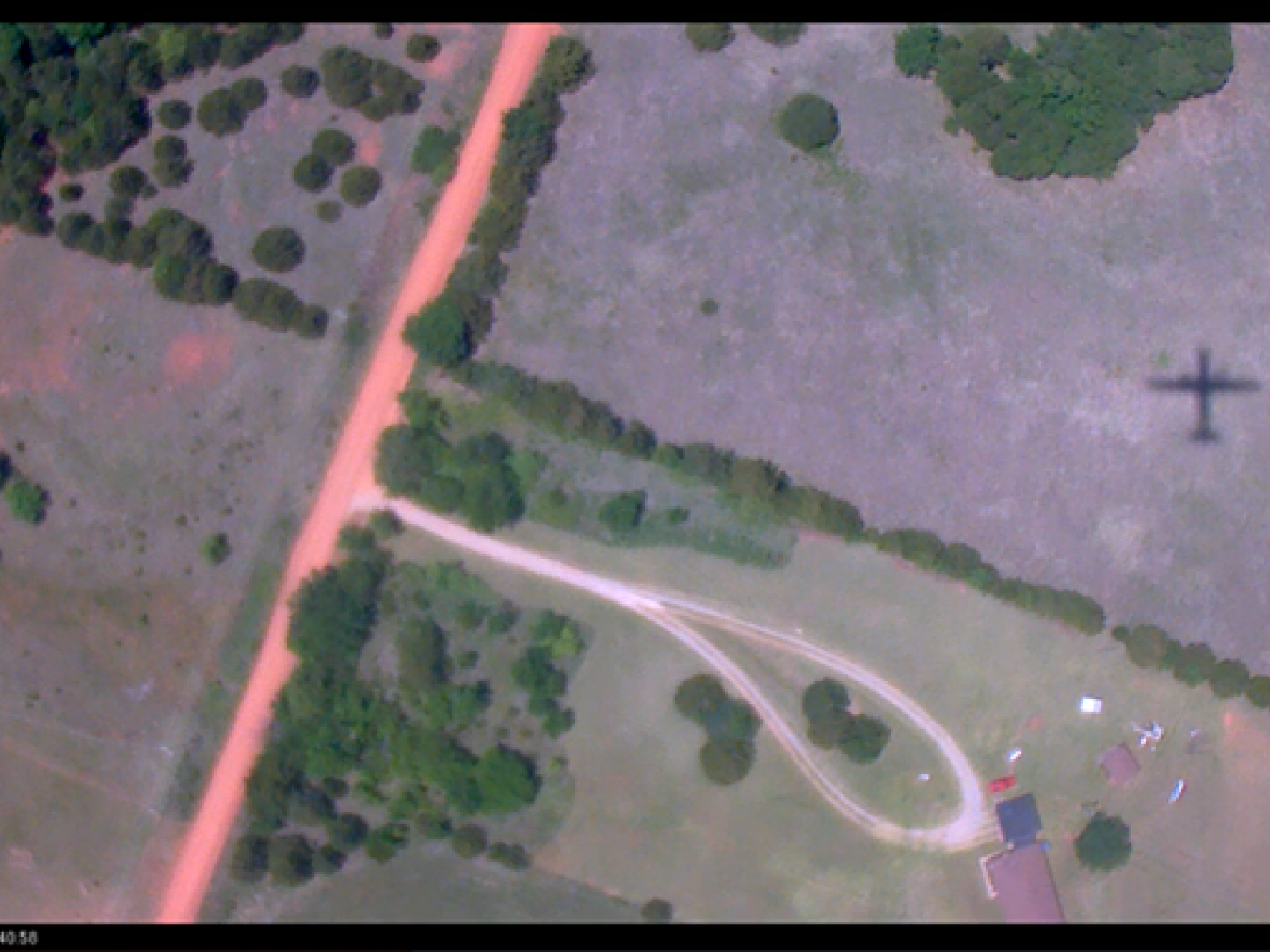 Photograph looking down at vegetation from an airplane window