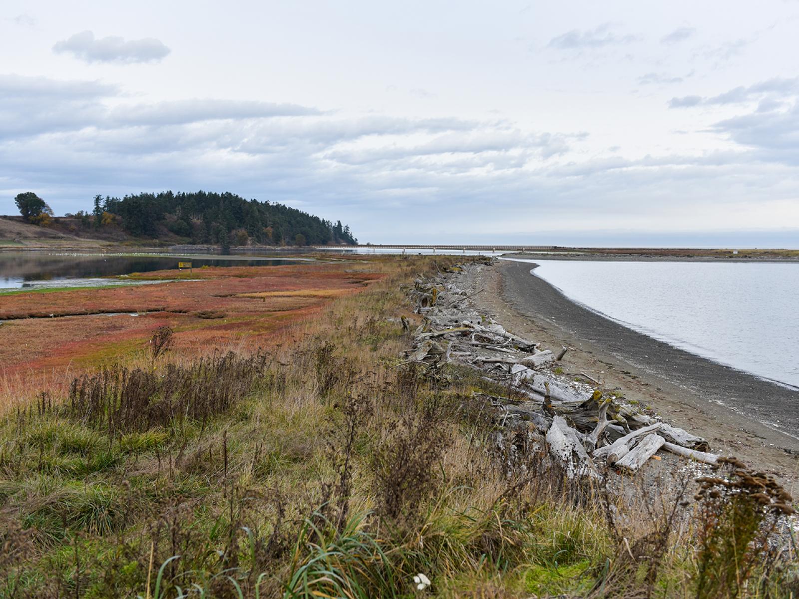 Coastal Science at Sequim Washington
