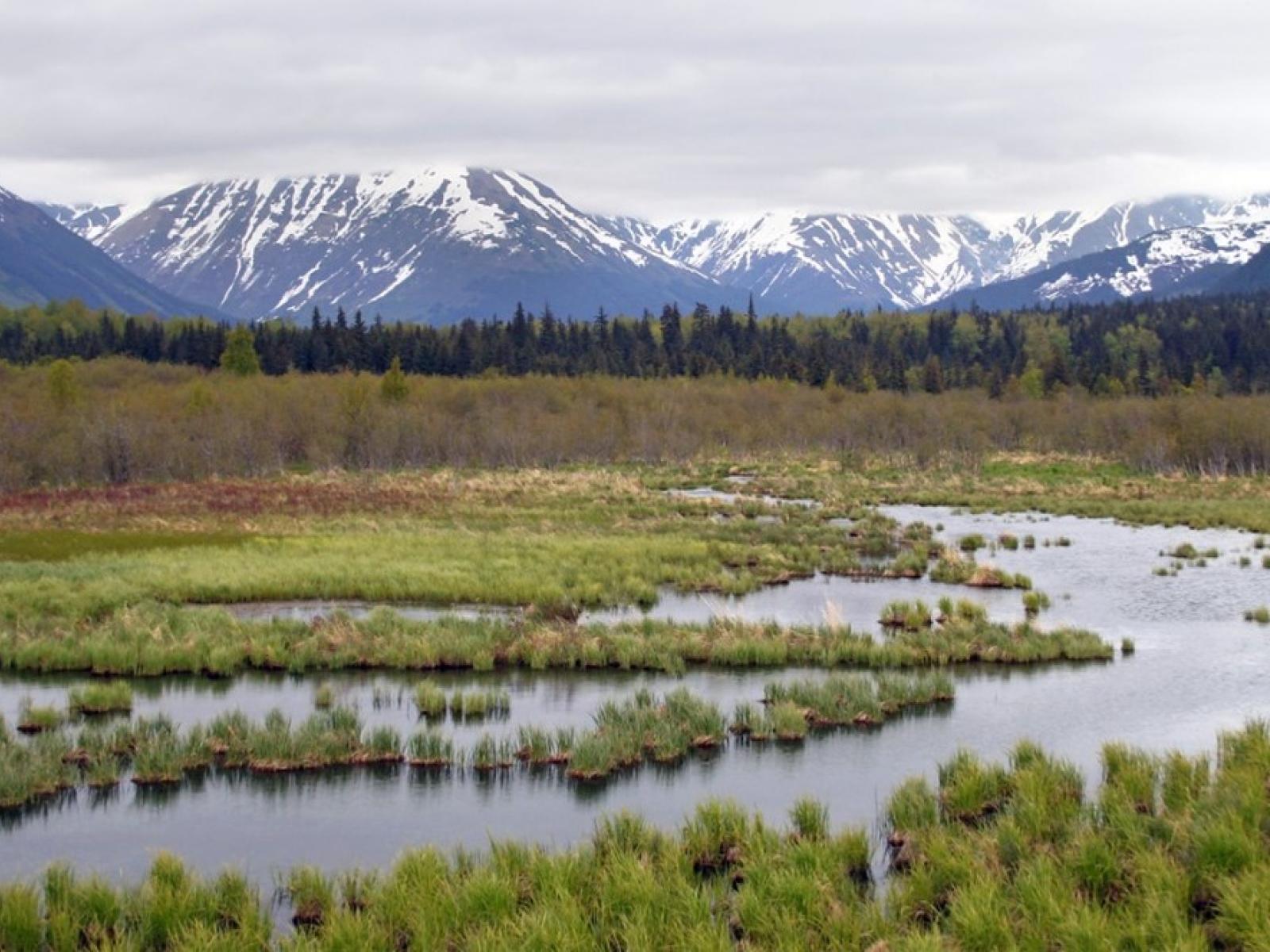 Photograph of a stream in the tundra with mountains in the background