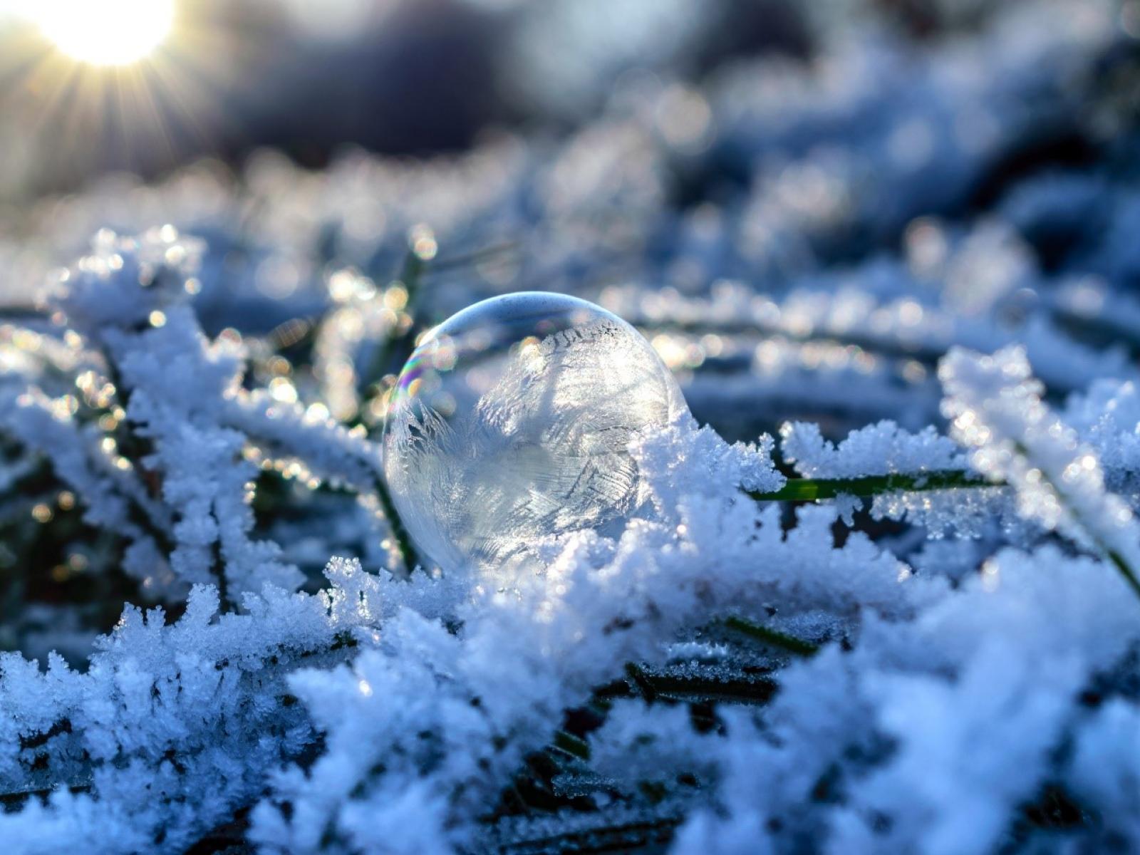 Close up photograph of a semi-frozen water droplet on frost covered sticks