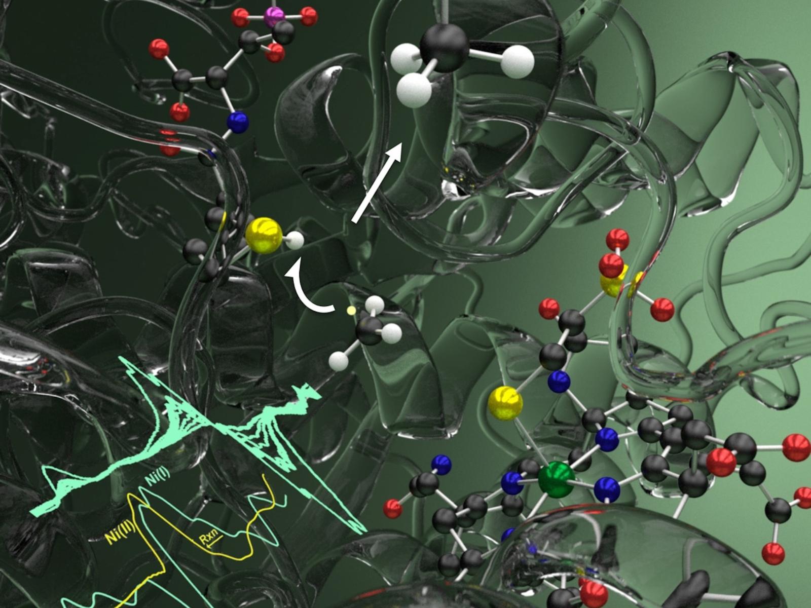 Illustration showing an enzyme structure and data