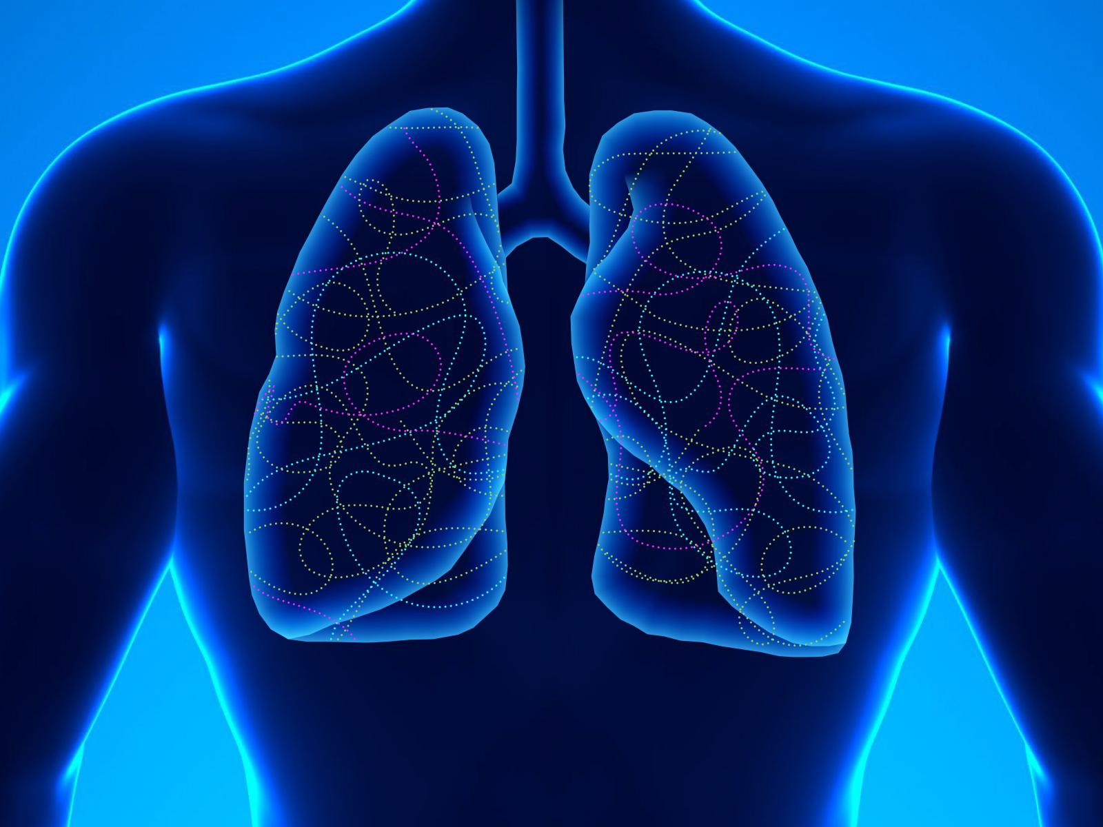 illustration of lungs with multicolored lines inside