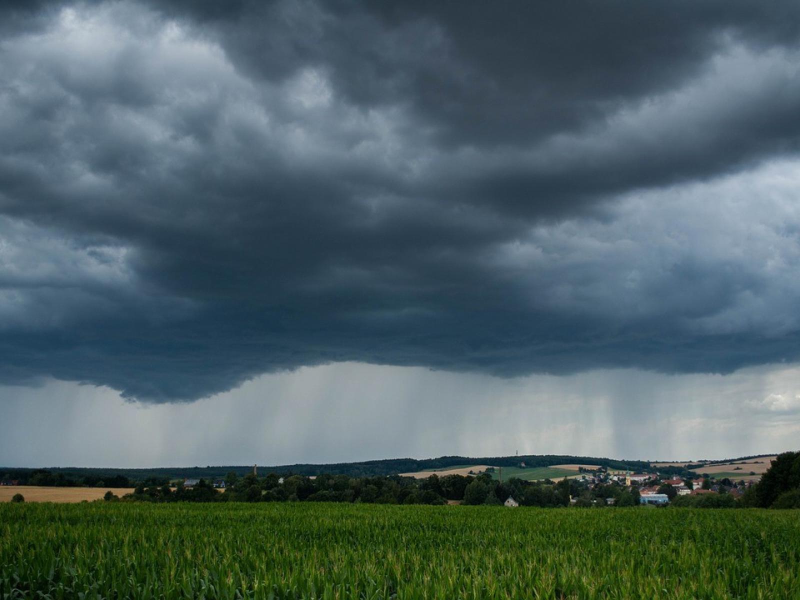 Dark clouds over field of green crops