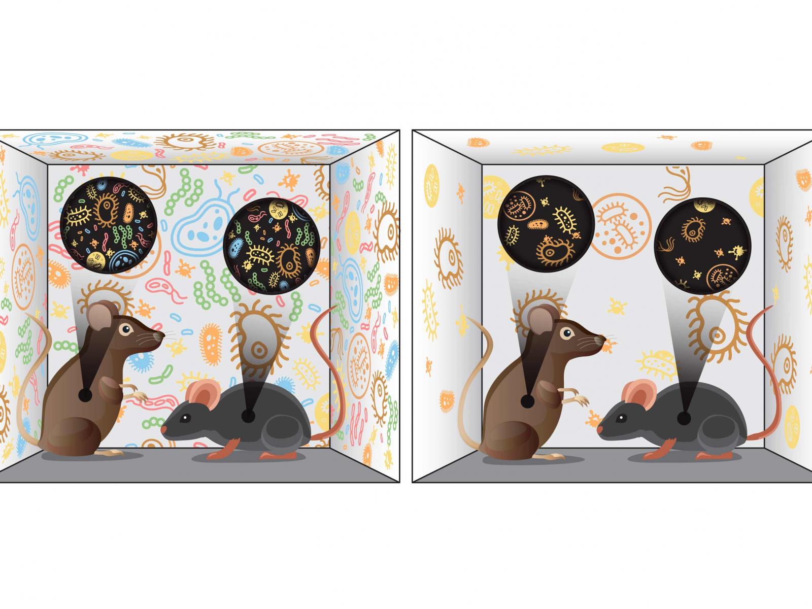 DiverseMicrobiomesIllustration