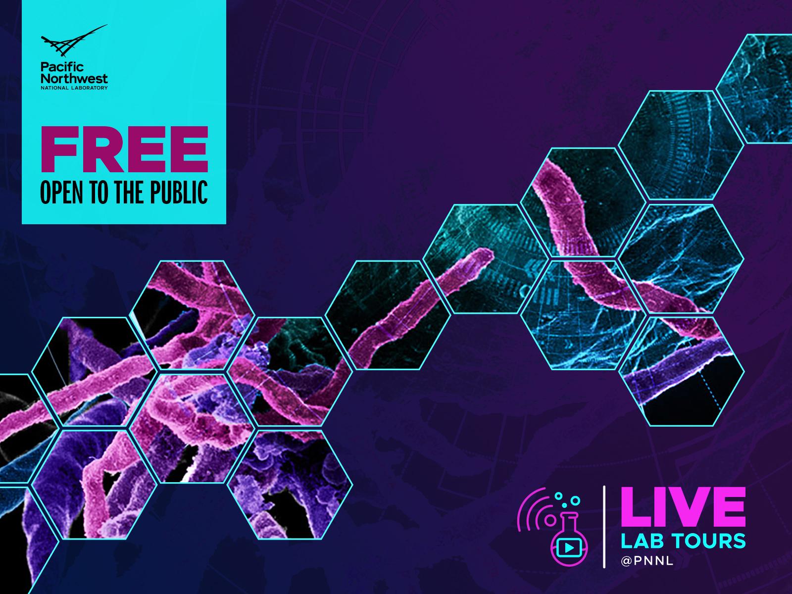 Live Virtual Community Tour