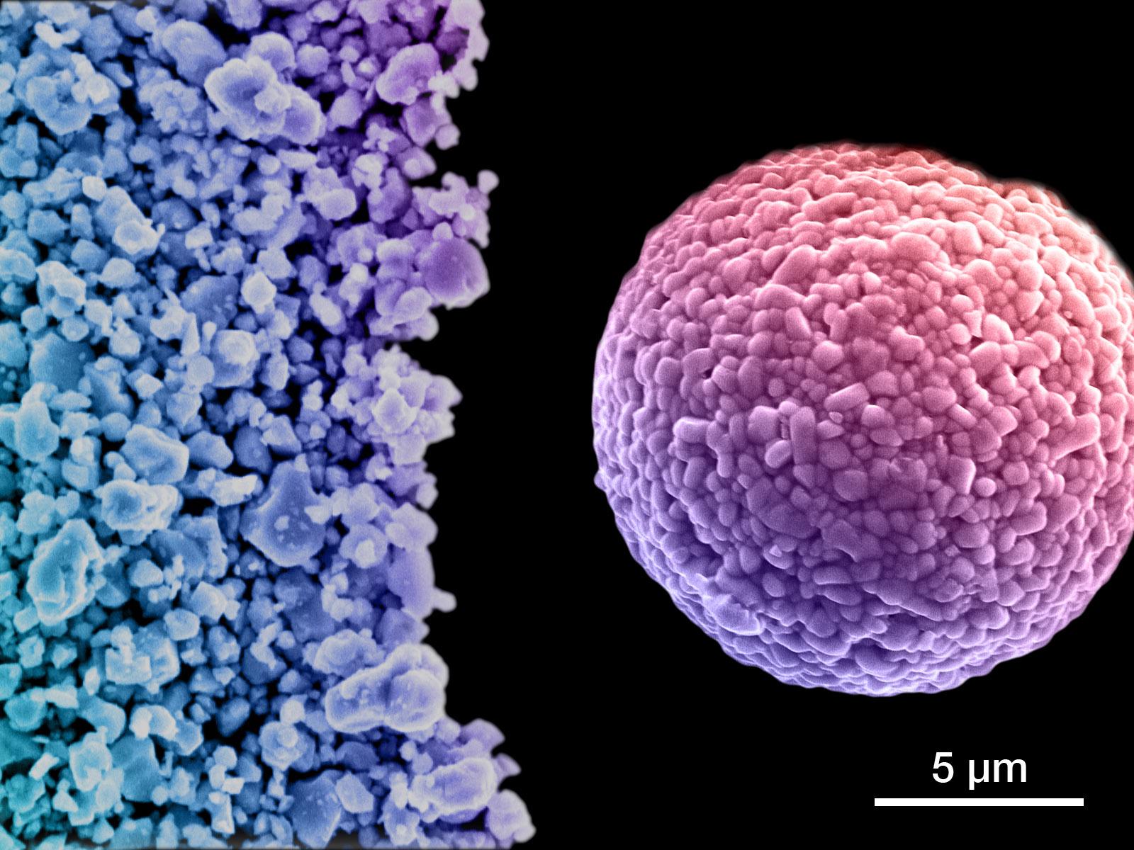 Single-crystal structures for cathode materials (left) are juxtaposed with an agglomerated polycrystal structure (right).