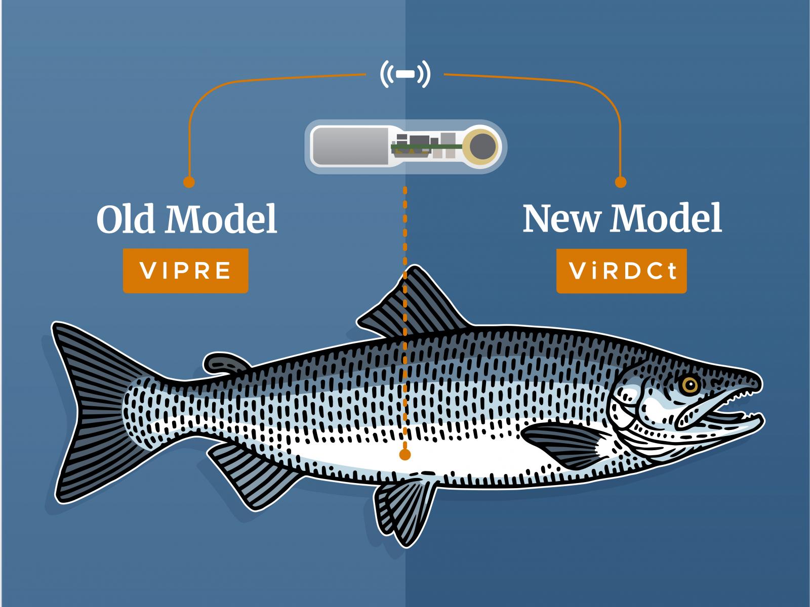 Newswise: Taking Stock of Salmon Survival, Dams and Science