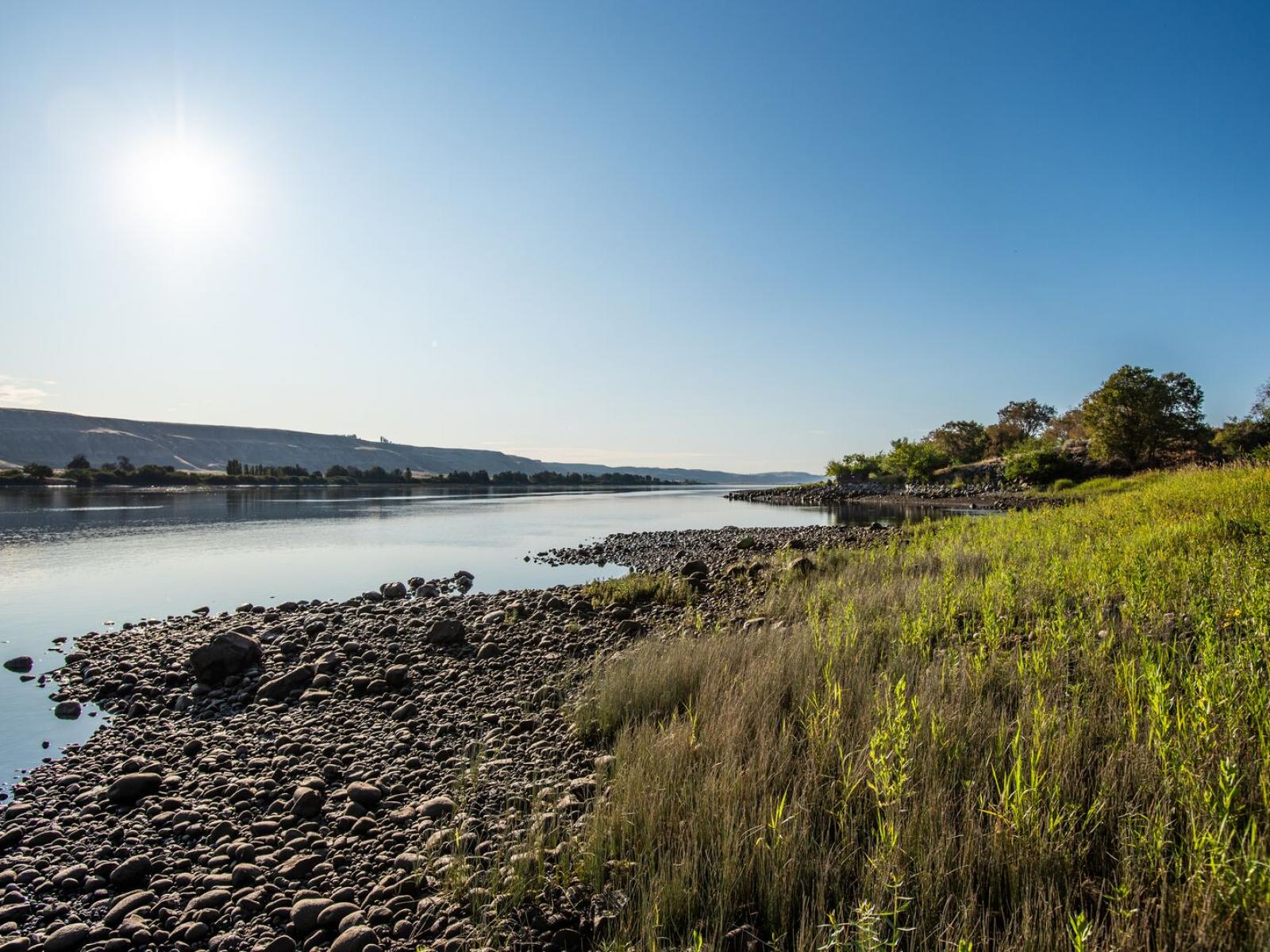 A view of the Columbia River taken in 2019 near the Hanford town site.