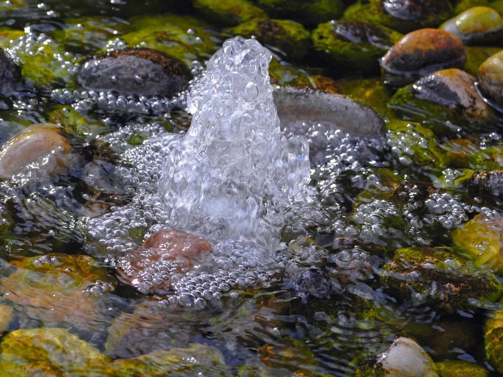 A freshwater spring on a bed of rocks