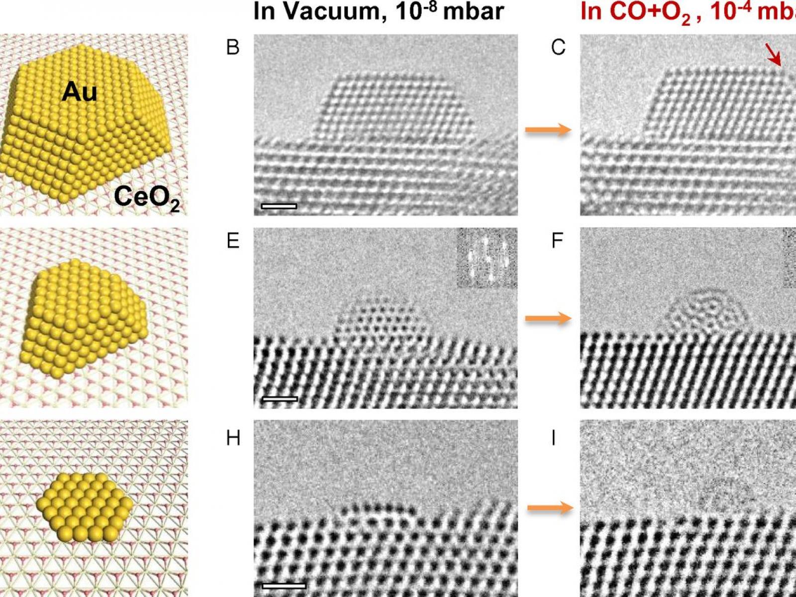 gold nanoparticle