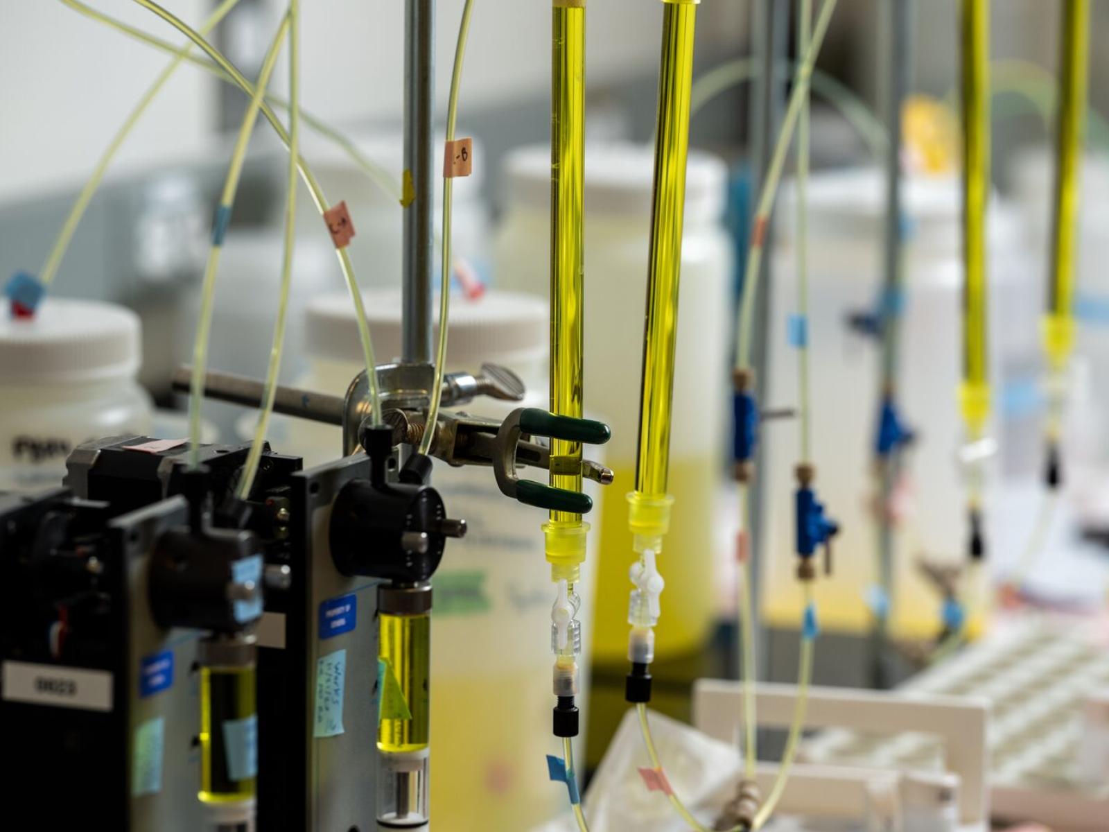 Scientific equipment called columns are glass tubes filled with yellow liquid that's being tested in a lab.