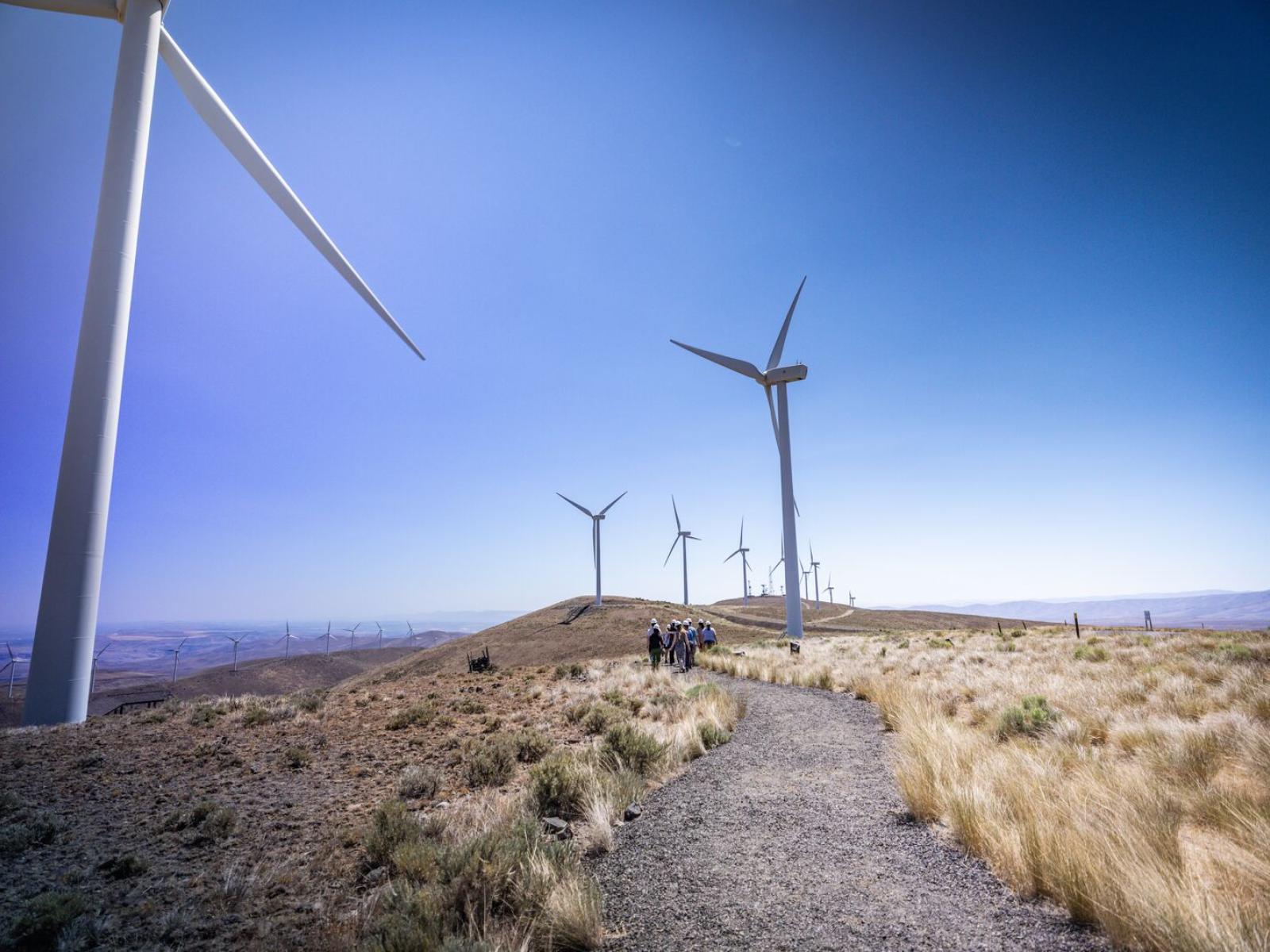 A group of people tour a wind farm