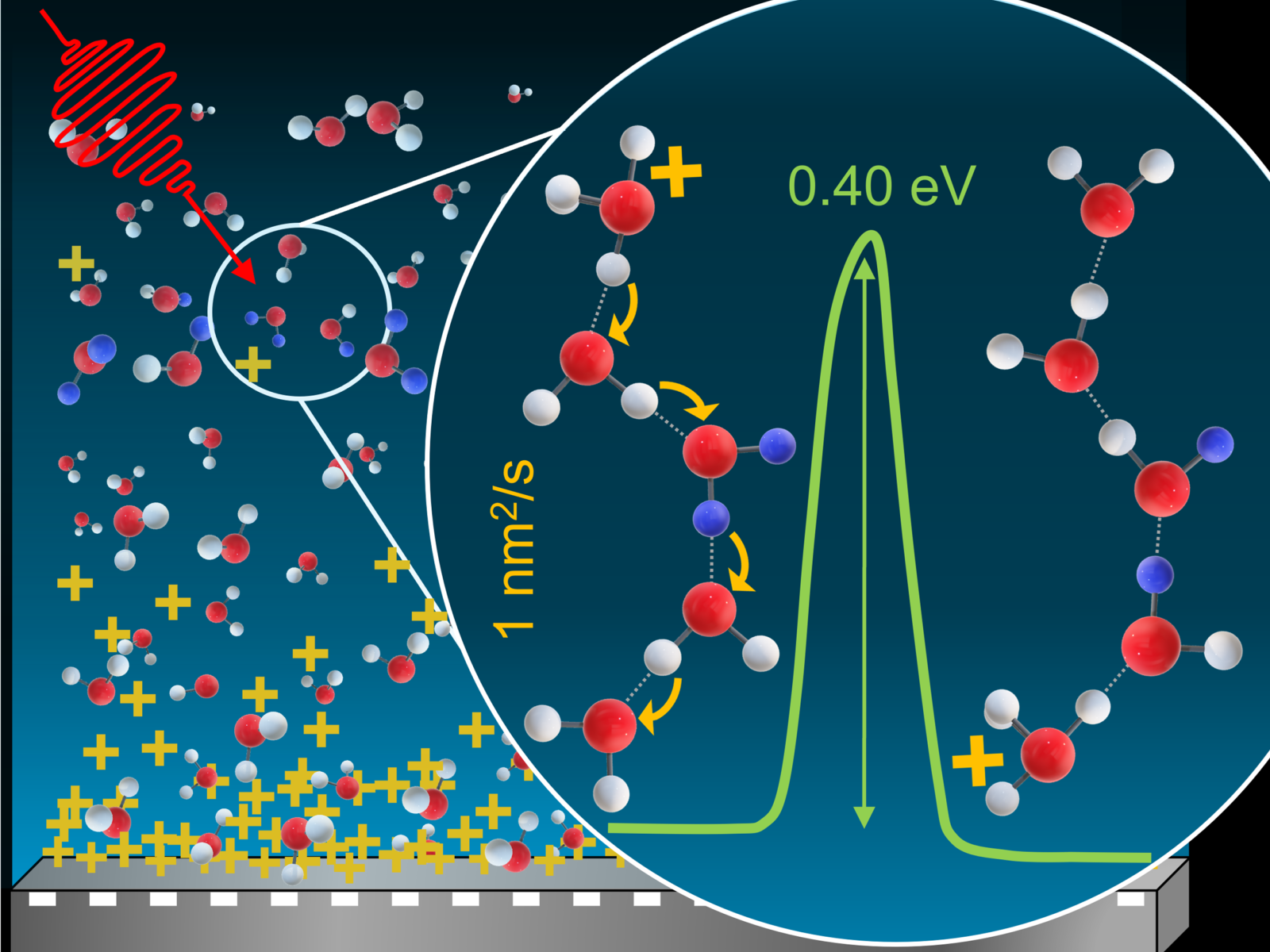 超冷却水中の陽子拡散測定（Measuring Proton Diffusion in Supercooled Water）