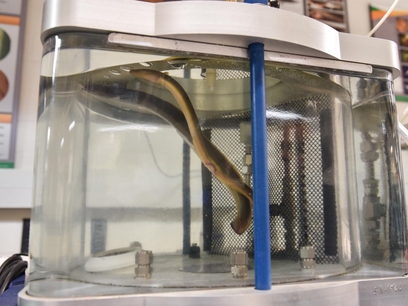 Hydropower Biological Testing Equipment